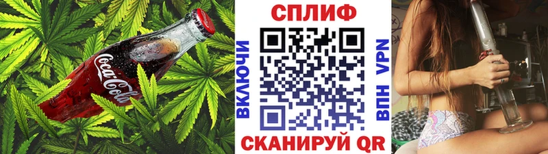 Купить где  Коркино  Cannafood конопля 