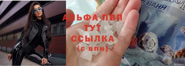 дмт Дмитровск