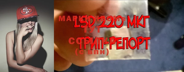 эйфоретик Дмитриев