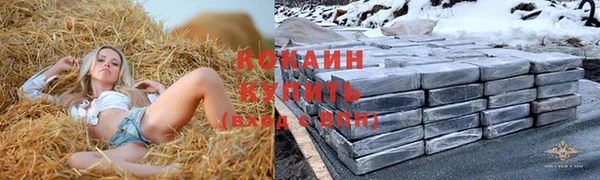 эйфоретик Дмитриев