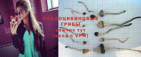 гидропоника Дмитров
