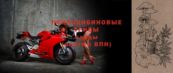 дмт Дмитровск
