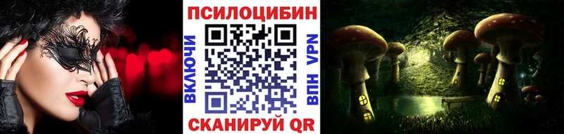 Купить  Коркино  Галлюциногенные грибы Psilocybine cubensis 
